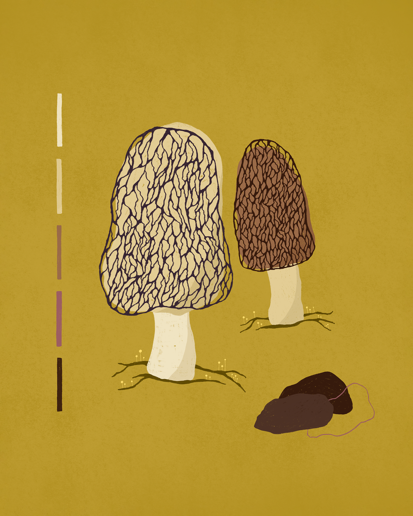 Morels