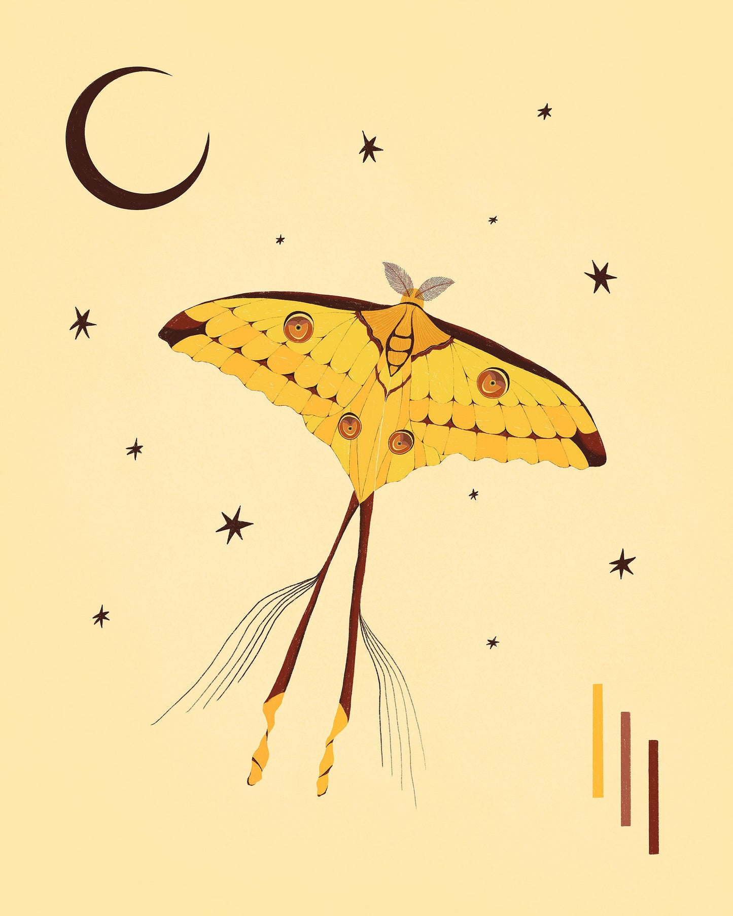 Comet Moth