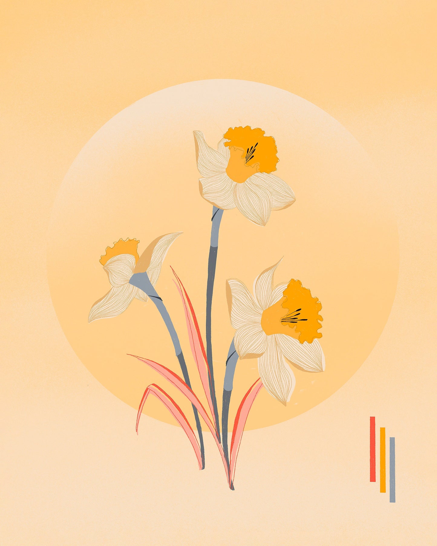 Daffodils
