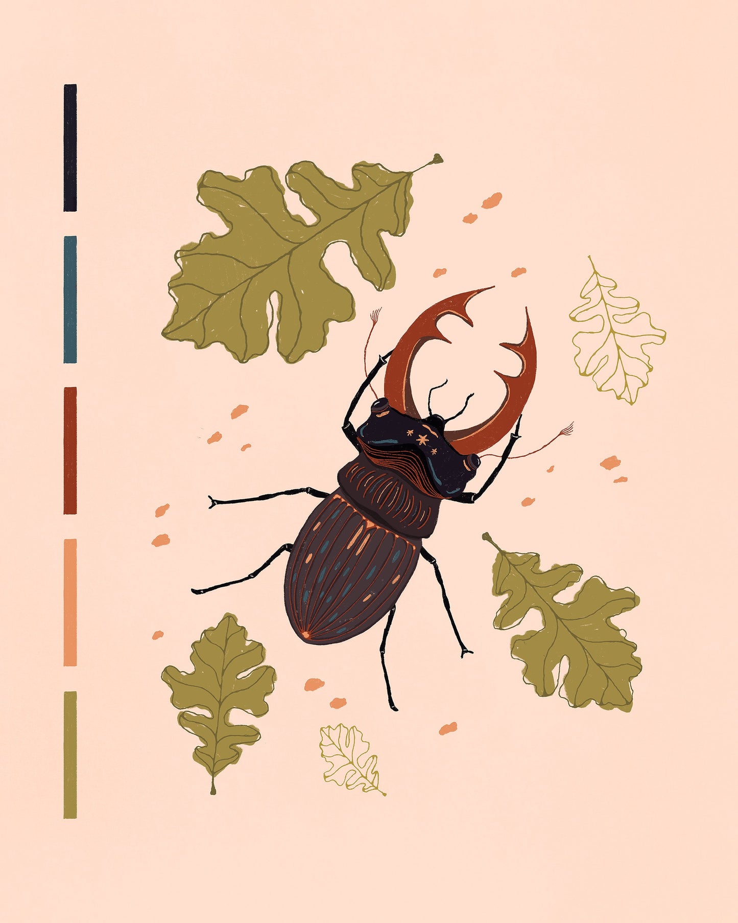 Star Beetle