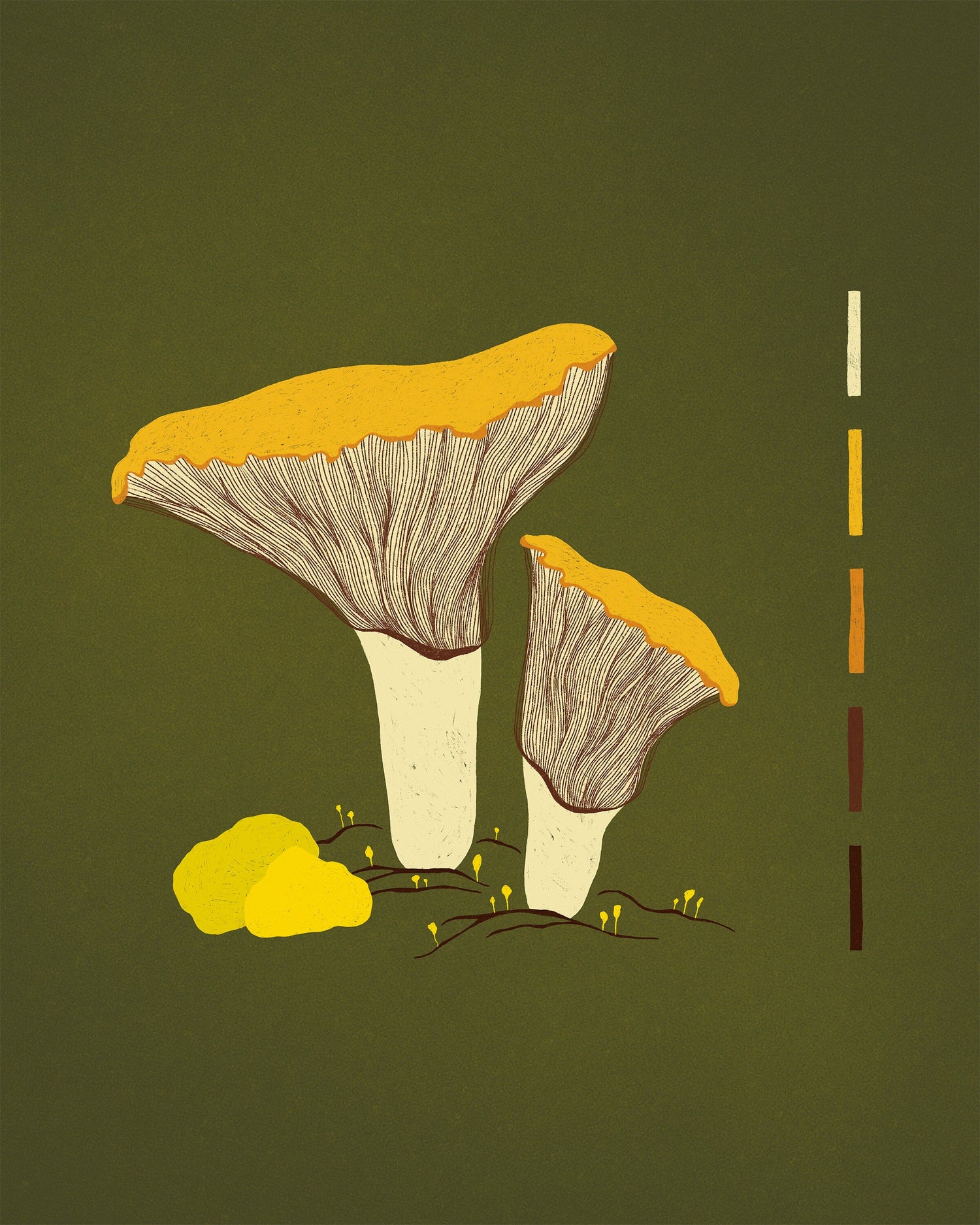 Plants + Fungi