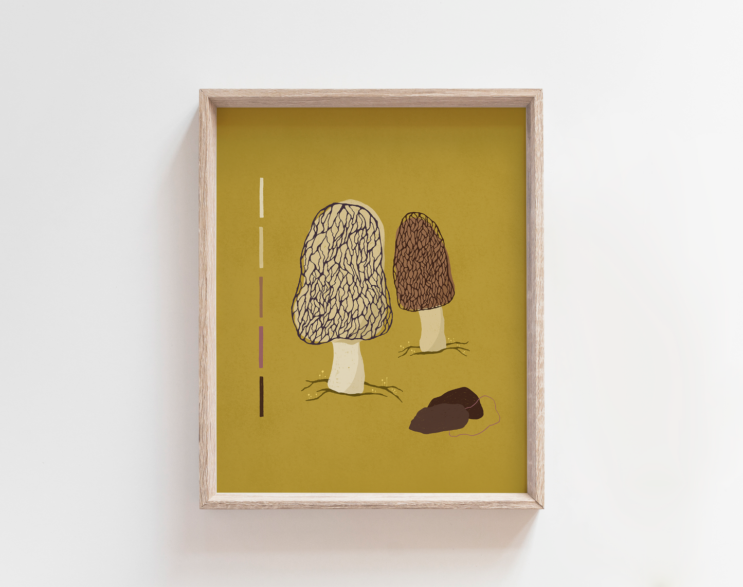 Morels