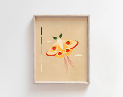 Tomato Moth