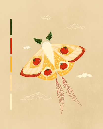 Tomato Moth