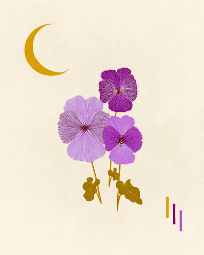 Pansy Trio