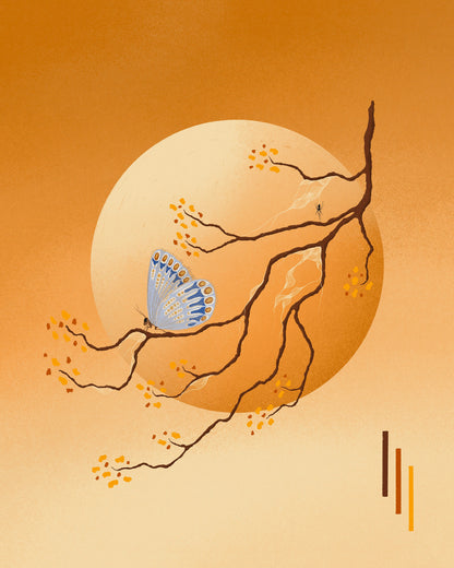 Butterfly Moon
