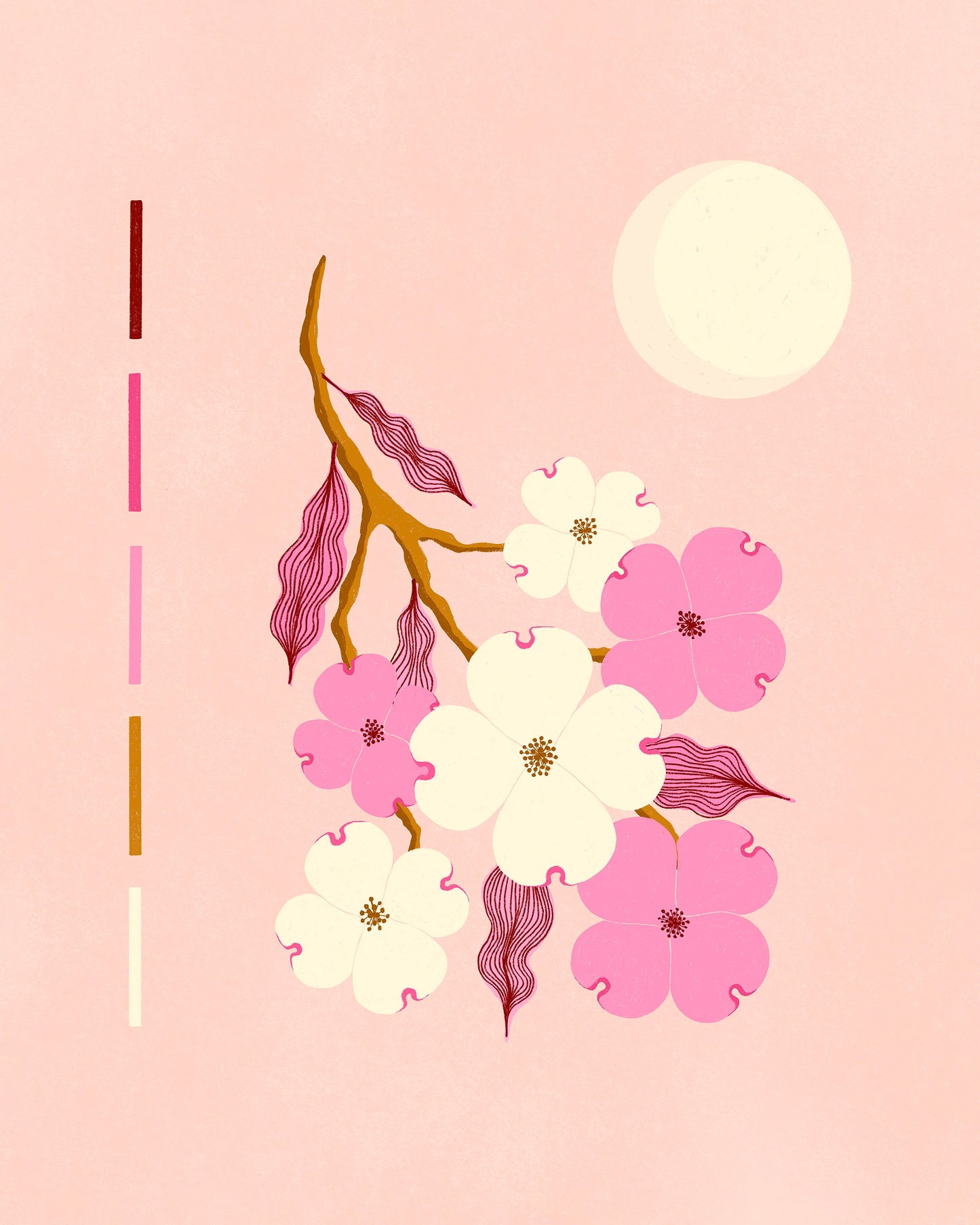 Dogwood