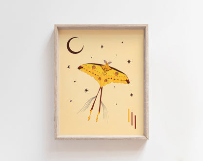 Comet Moth