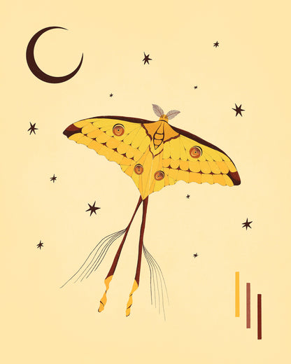 Comet Moth