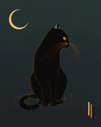 Magic Cat