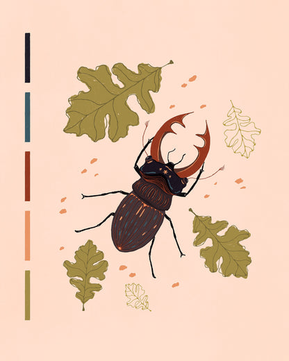 Star Beetle