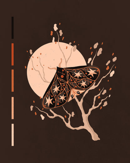 The Star Moth